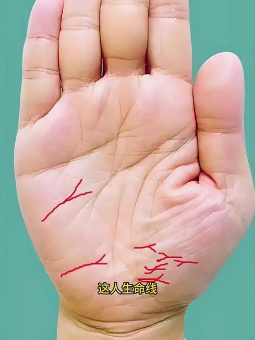 桃花旺,晚年运势也不错的掌纹
