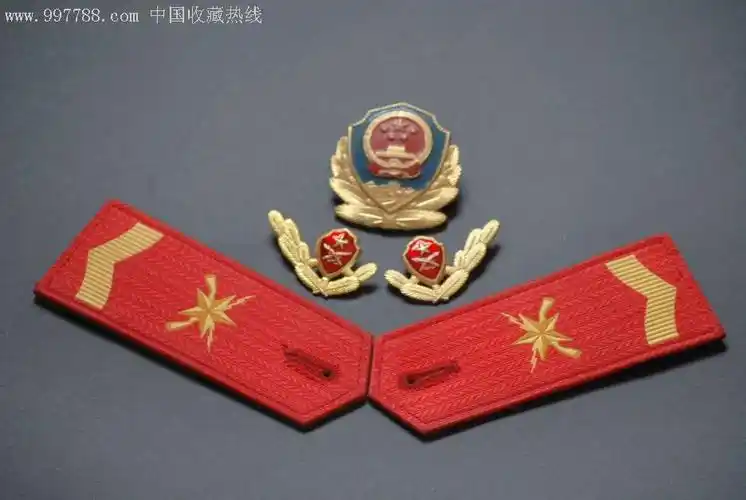 退役武*二期士官帽徽领花(套组)