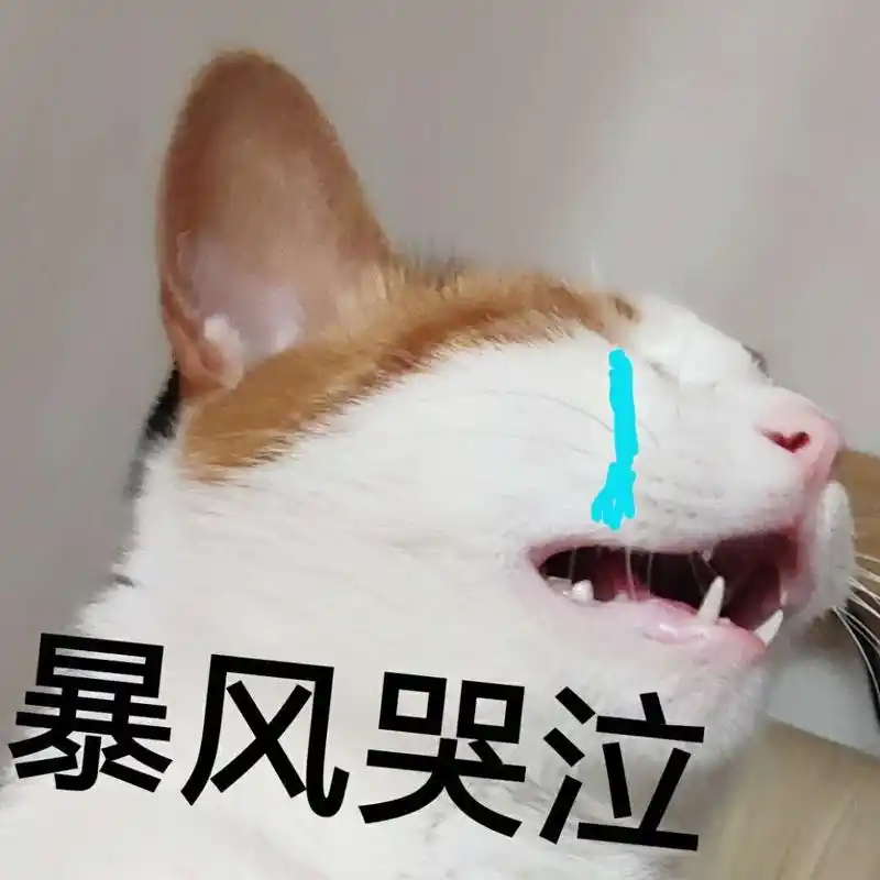 暴风哭泣伤心流泪猫猫头猫咪表情包