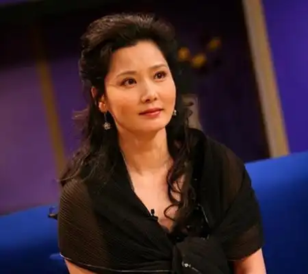 【图】何赛飞图片大全 怕影响事业十年后才怀孕