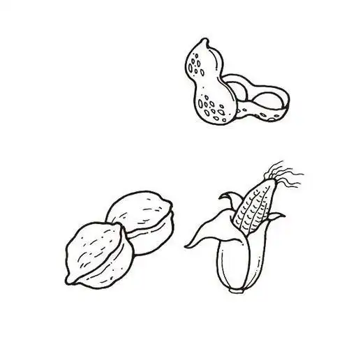 画粮食类植物简笔画简笔画大全小麦简笔画小麦怎么画怎么画成熟小麦的