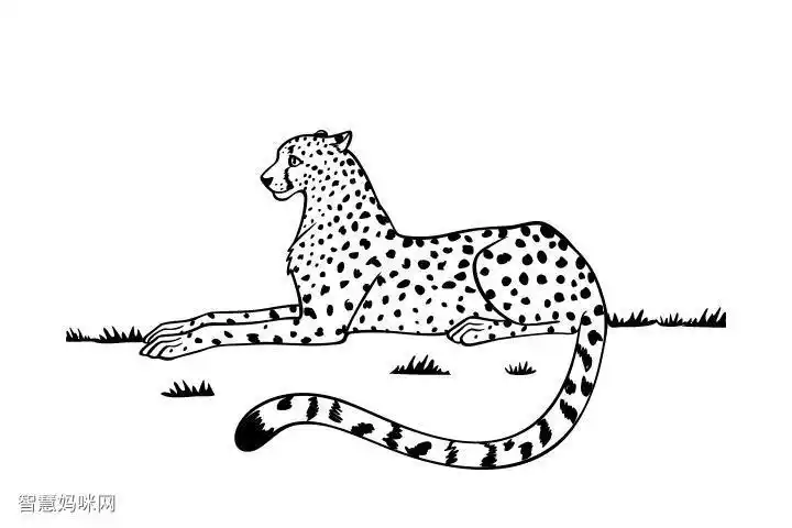 画法豹子简笔画豹子的画法豹子简笔画怎么画豹子简笔画豹子的画法猎豹