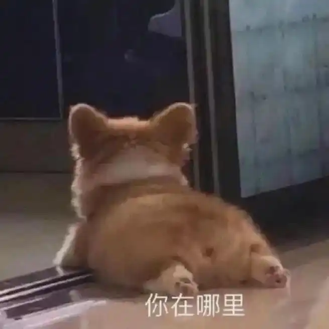 你在哪里.#猫咪表情包 #表情包 #发给对象表情包 #热图分 - 抖音