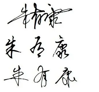 谁能把朱有康三个字设计一下艺术签名