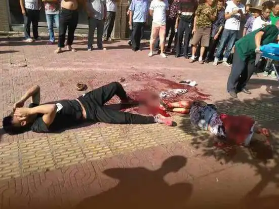 9月11日在街头持刀行凶,将同校两名大专学生砍伤,其中一人手腕被砍断