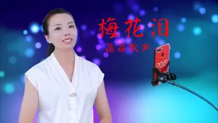 歌曲《梅花泪》,原唱云菲菲,非常好听的一首歌
