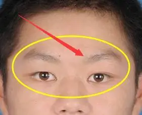 这三种面相的男人异性缘比较好桃花运较旺,但要小心!