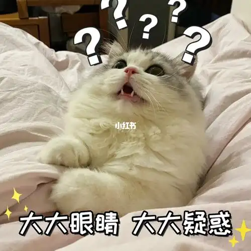 小奶猫  #我的萌宠  #萌宠  #宠物  #小奶猫成长记  #吸猫  #表情包